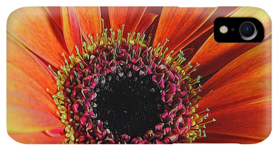 Yellow Orange Daisy Close Up - Phone Case