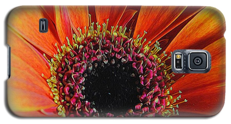 Yellow Orange Daisy Close Up - Phone Case