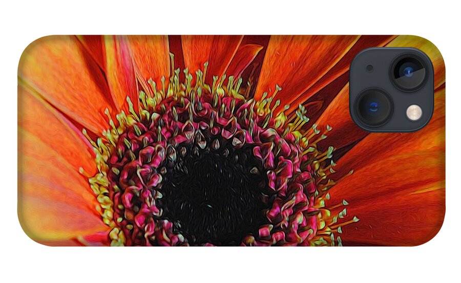 Yellow Orange Daisy Close Up - Phone Case