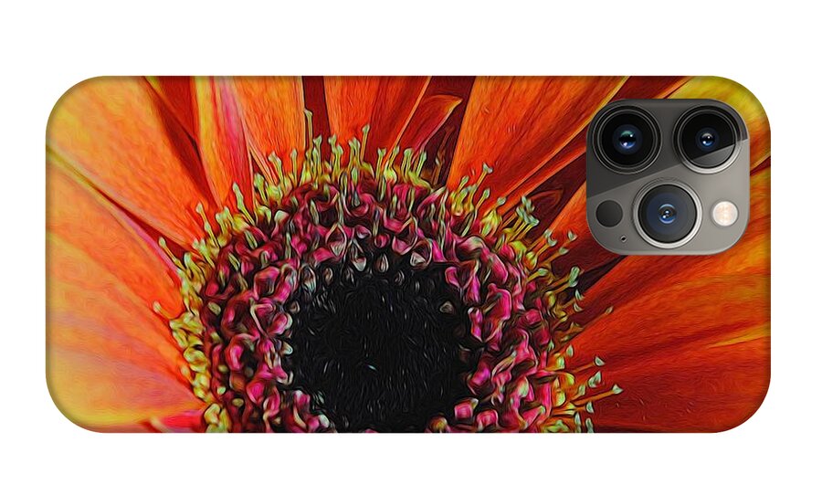 Yellow Orange Daisy Close Up - Phone Case