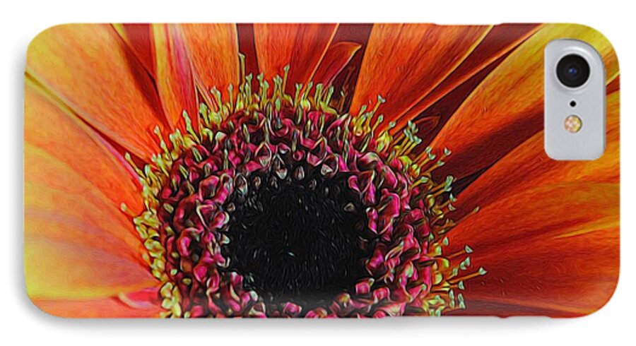 Yellow Orange Daisy Close Up - Phone Case