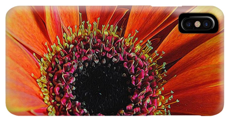 Yellow Orange Daisy Close Up - Phone Case