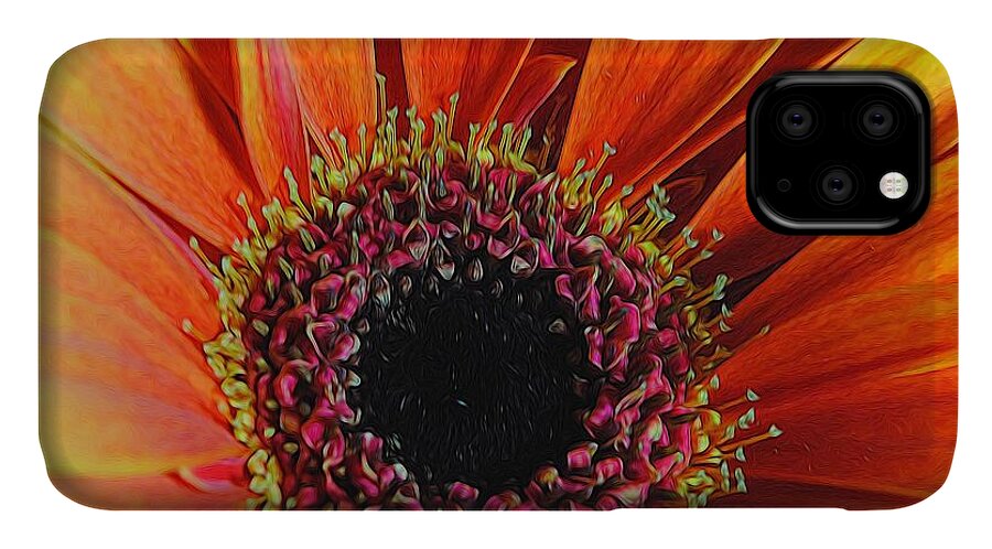 Yellow Orange Daisy Close Up - Phone Case