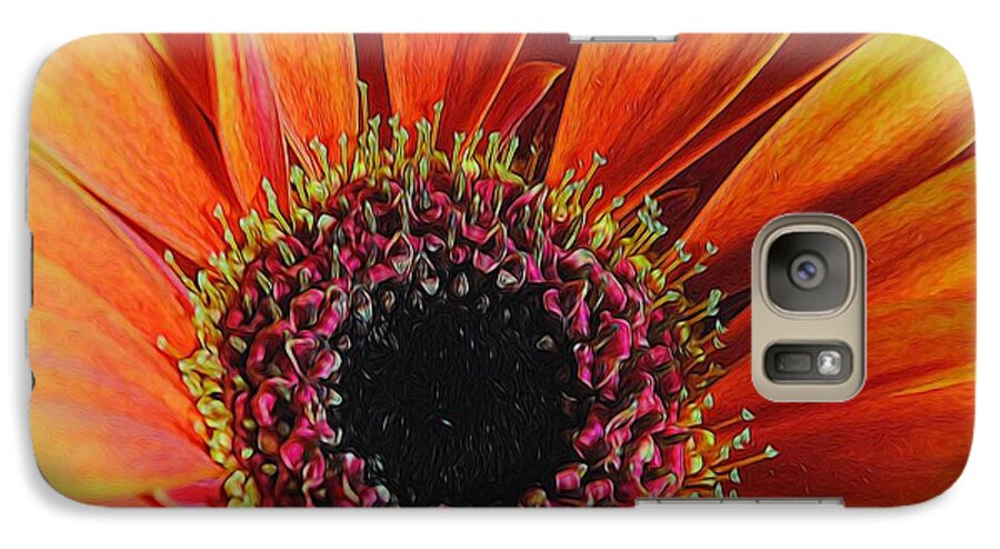 Yellow Orange Daisy Close Up - Phone Case