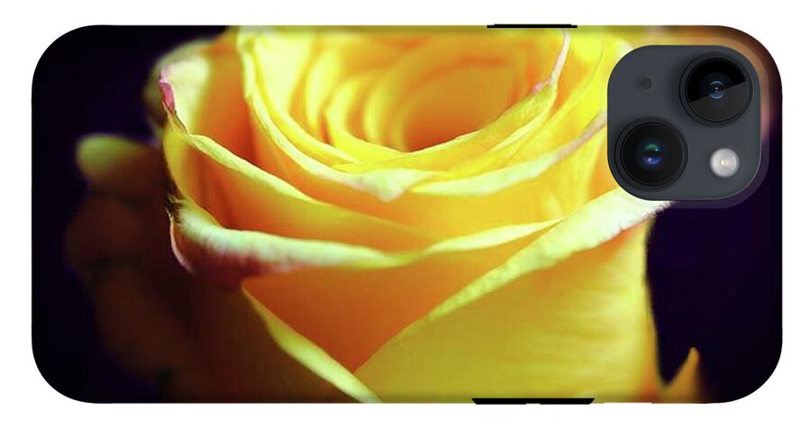 Yellow Rose Soft Light - Phone Case