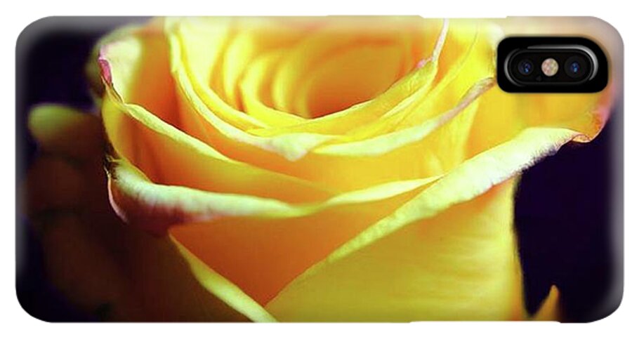 Yellow Rose Soft Light - Phone Case