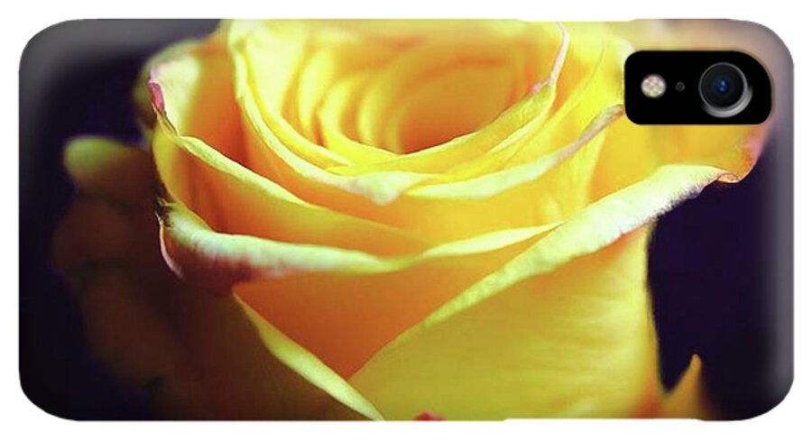 Yellow Rose Soft Light - Phone Case