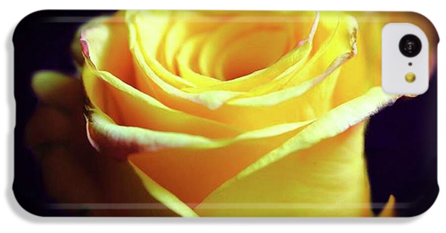 Yellow Rose Soft Light - Phone Case