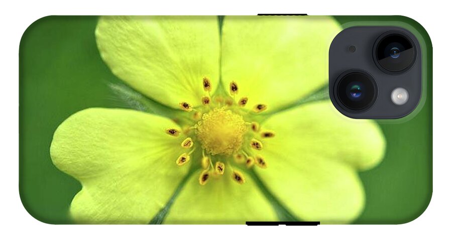 Yellow Wildflower - Phone Case