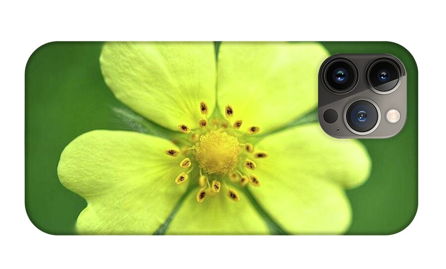 Yellow Wildflower - Phone Case