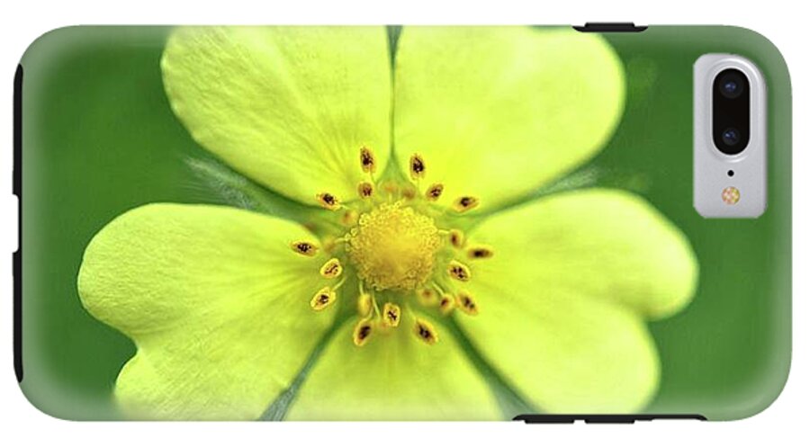 Yellow Wildflower - Phone Case