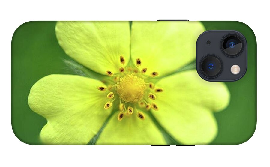 Yellow Wildflower - Phone Case
