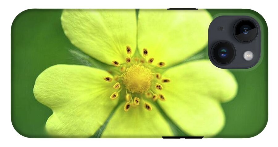 Yellow Wildflower - Phone Case