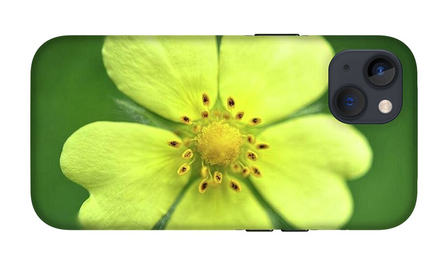 Yellow Wildflower - Phone Case