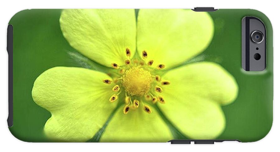 Yellow Wildflower - Phone Case