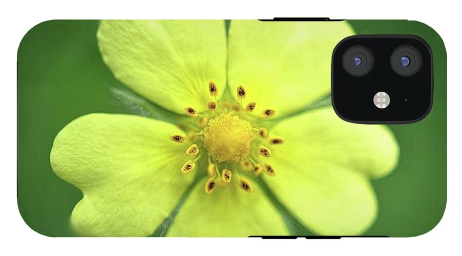 Yellow Wildflower - Phone Case
