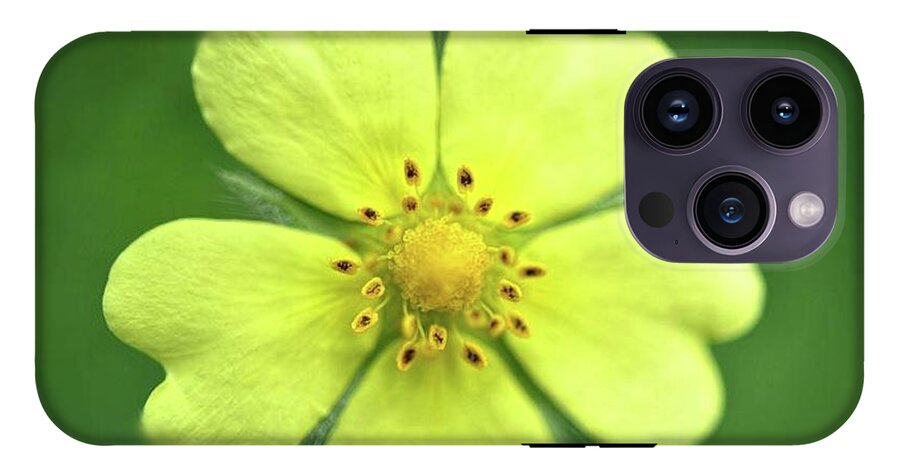 Yellow Wildflower - Phone Case
