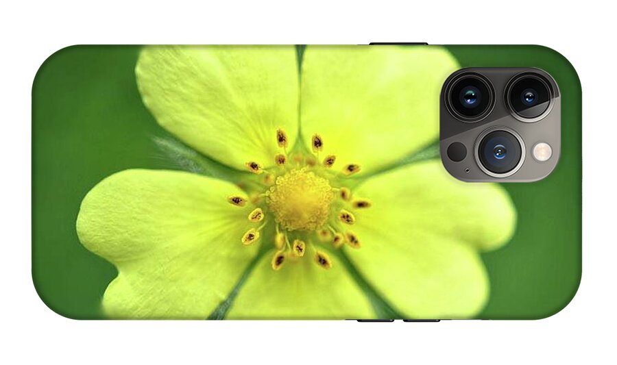 Yellow Wildflower - Phone Case