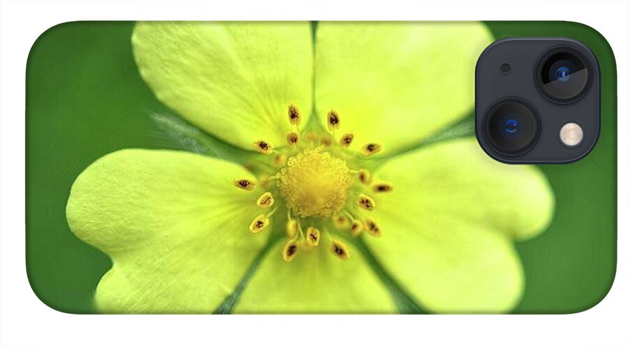 Yellow Wildflower - Phone Case