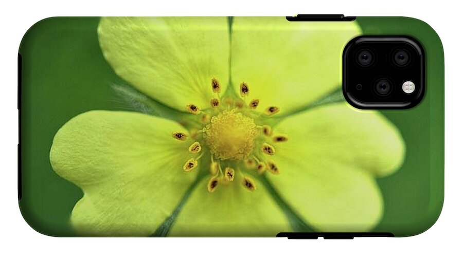 Yellow Wildflower - Phone Case