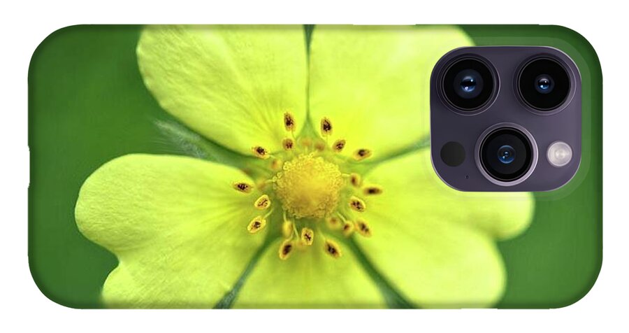 Yellow Wildflower - Phone Case