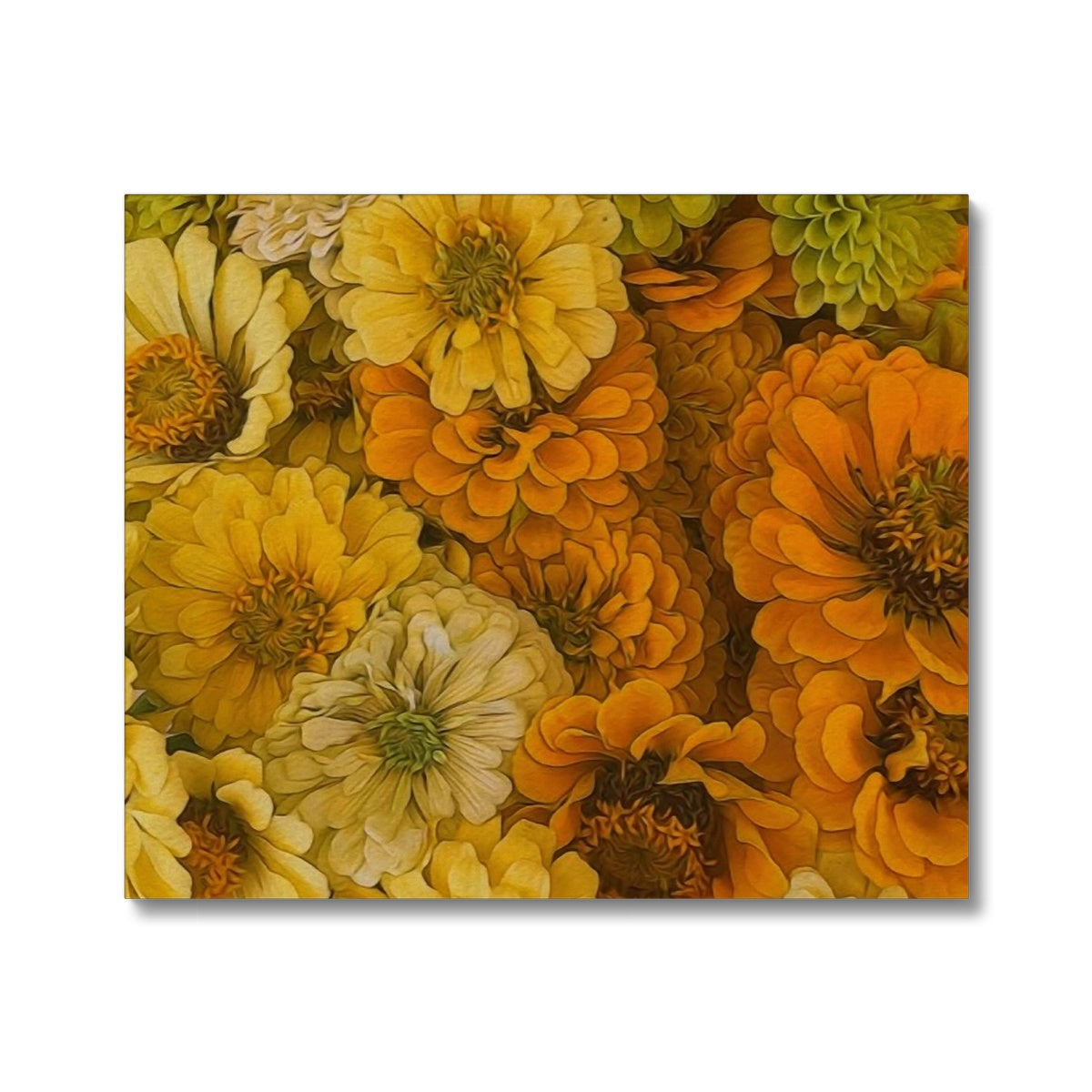 Yellow Zinnias Canvas