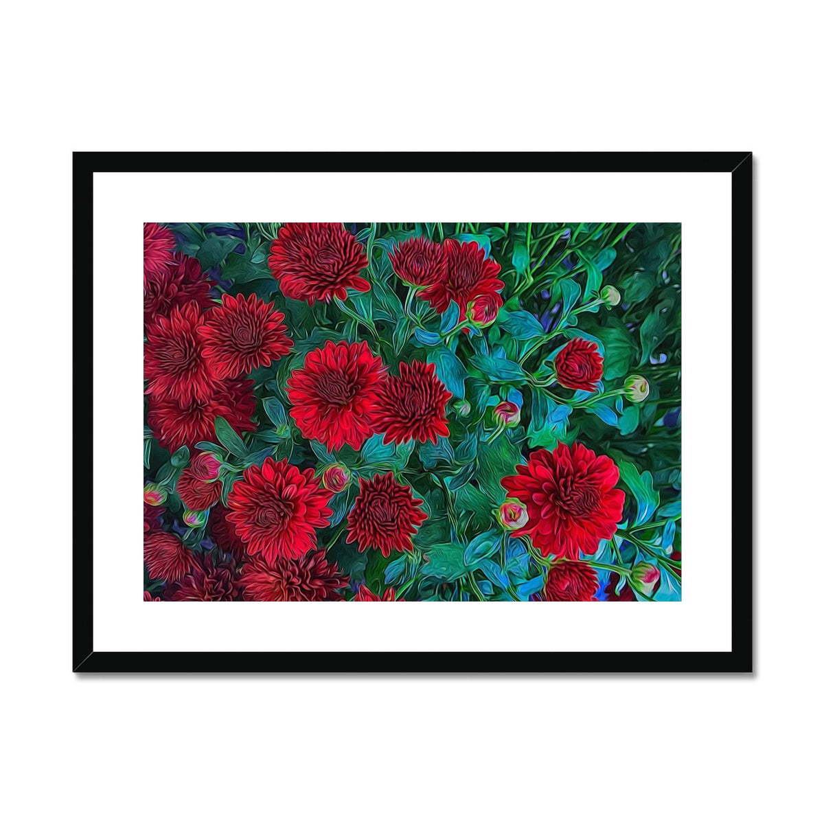 Red Mums Framed & Mounted Print