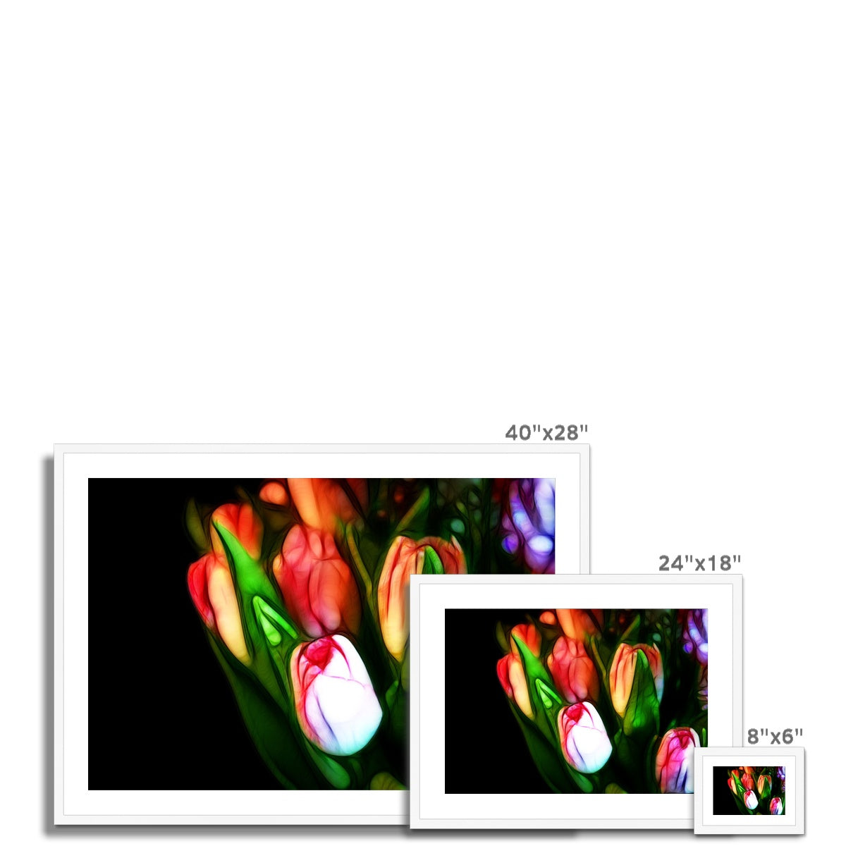 Pink Tulips Framed & Mounted Print