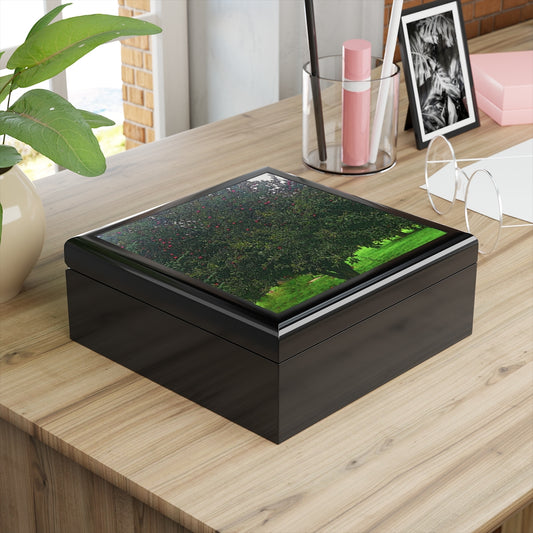 Apple Tree Jewelry Box
