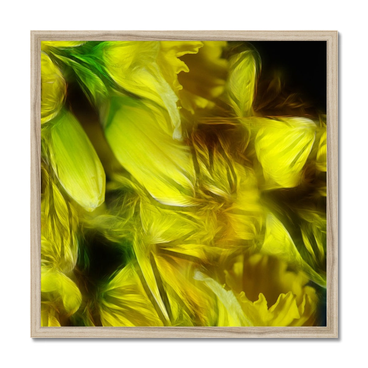 Abstract Yellow Daffodils Framed Print