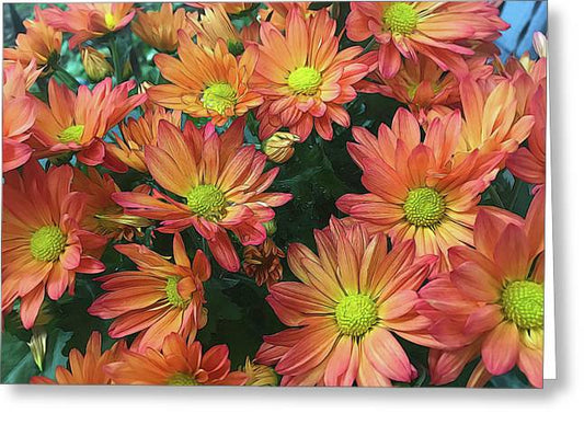 Cream and Pink Fall Flowers - Greeting Card