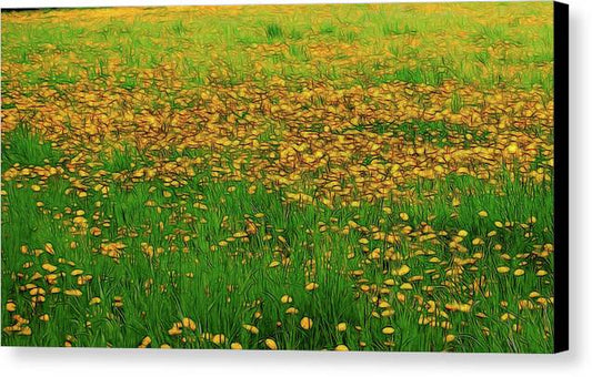 Dandelion Field - Canvas Print