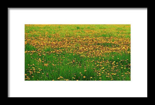 Dandelion Field - Framed Print