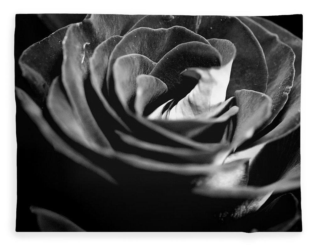 Large Black and White Rose - Blanket