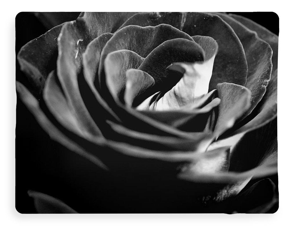 Large Black and White Rose - Blanket