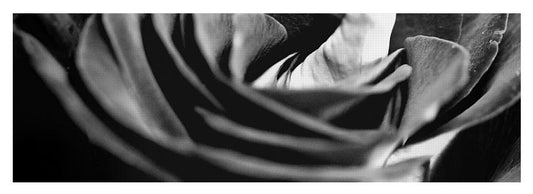 Large Black and White Rose - Yoga Mat