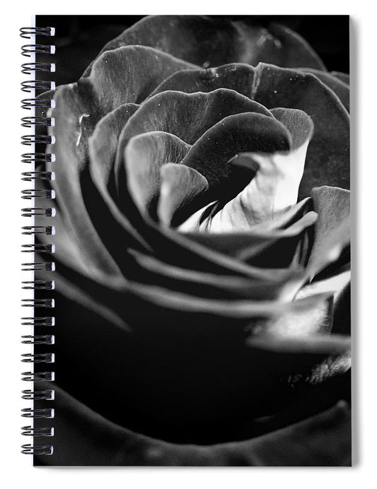 Large Black and White Rose - Spiral Notebook