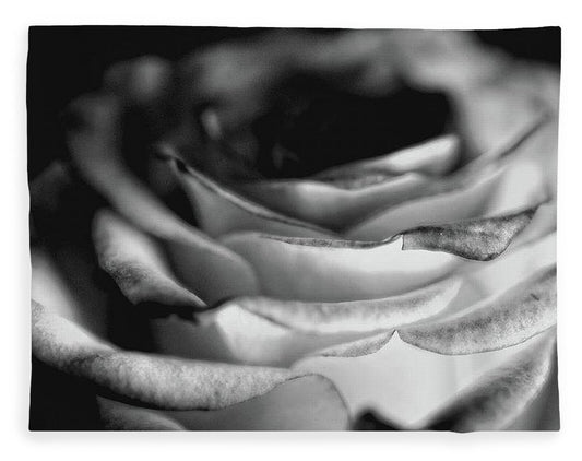 Light Black and White Rose - Blanket