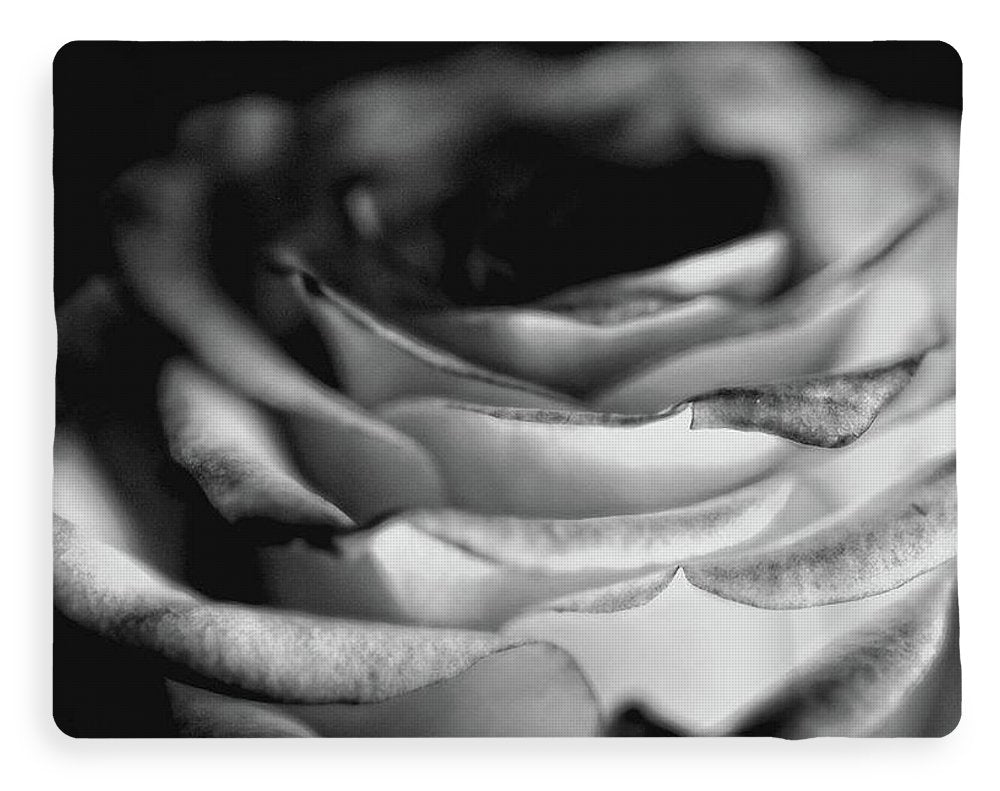 Light Black and White Rose - Blanket