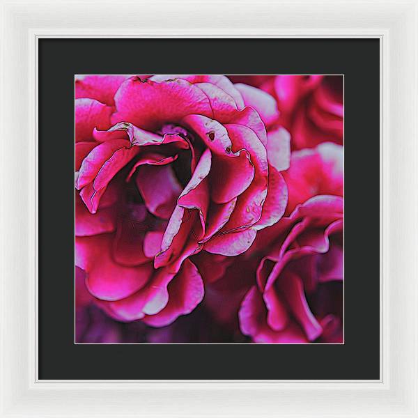Pink and White Flowers - Framed Print