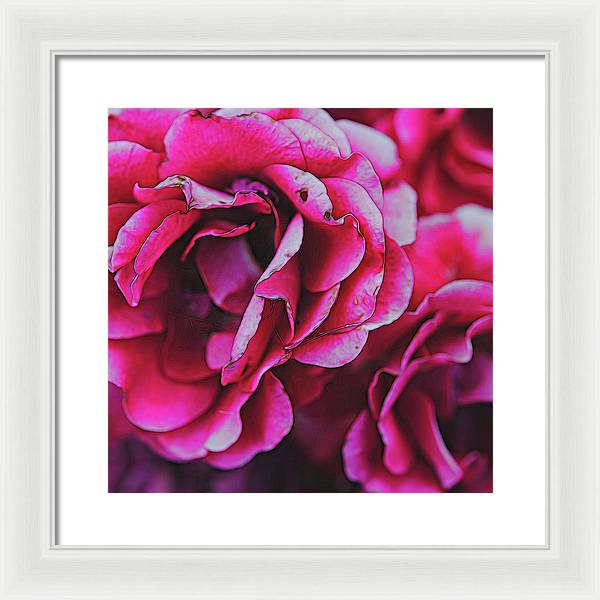 Pink and White Flowers - Framed Print