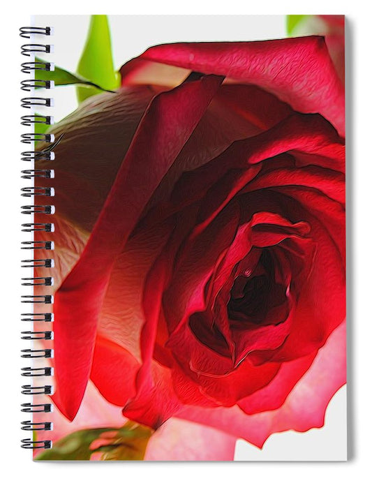 Pink Lined White Rose - Spiral Notebook
