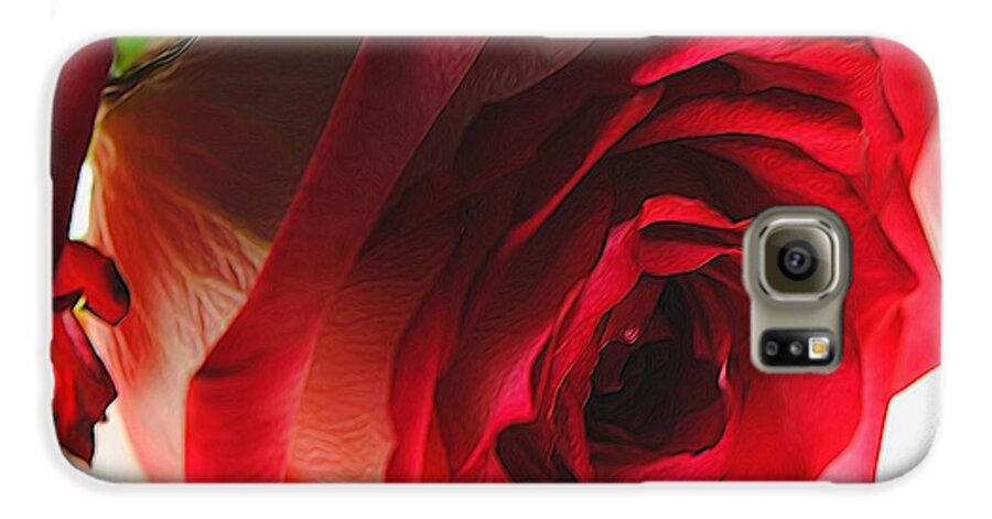 Pink Lined White Rose #1 - Phone Case