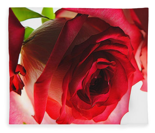 Pink Lined White Rose - Blanket