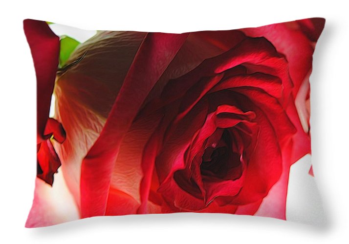 Pink Lined White Rose - Throw Pillow