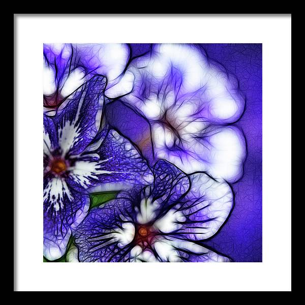 Purple and White Flowers - Framed Print
