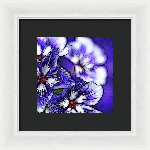 Purple and White Flowers - Framed Print