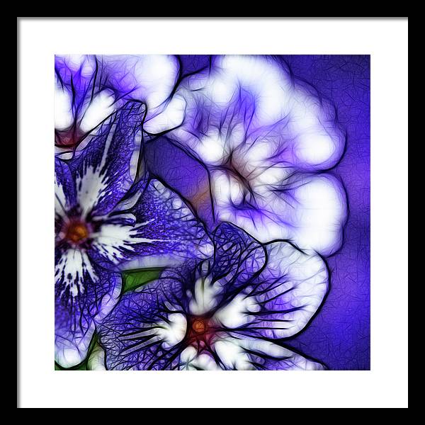 Purple and White Flowers - Framed Print