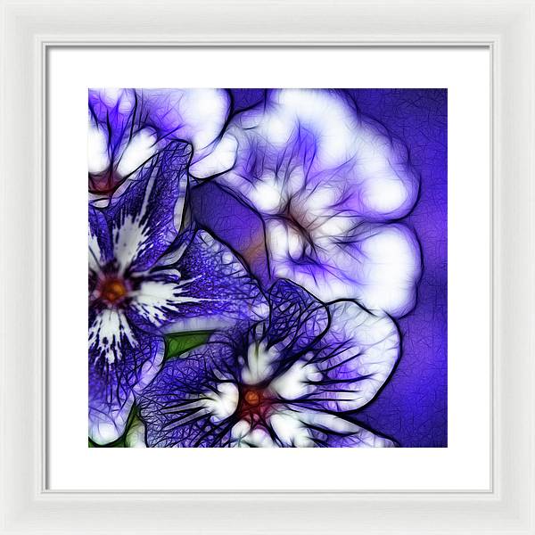 Purple and White Flowers - Framed Print
