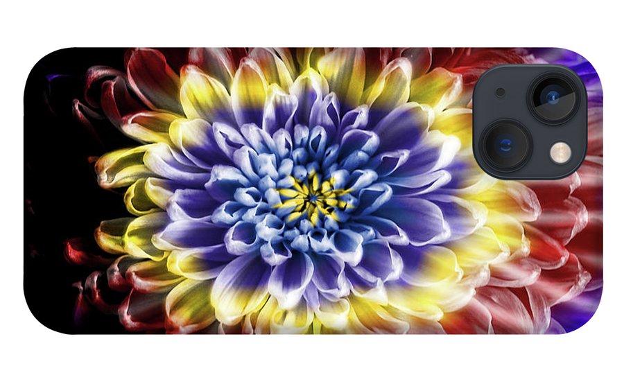 Rainbow Chrysanthemum #1 - Phone Case